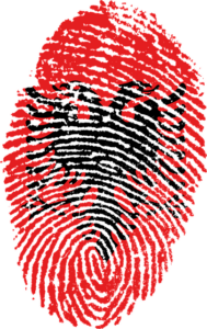 ByAlbania